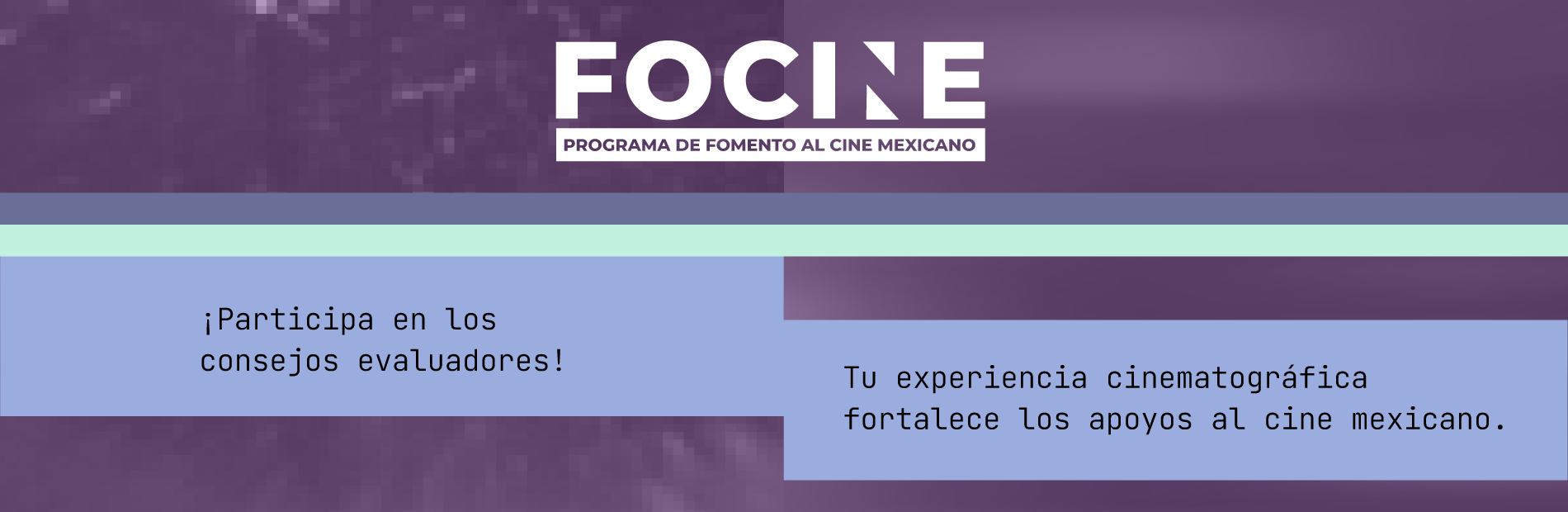 Consejos FOCINE 2025